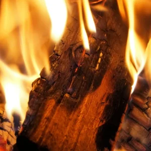 holzbrx Brennholz Buche, ofenfertig gesägt, gespalten & getrocknet, 25cm Länge, 150kg, 5 Kartons, inkl. 5 Holzwollanzünder, aus nachhaltiger Verarbeitung